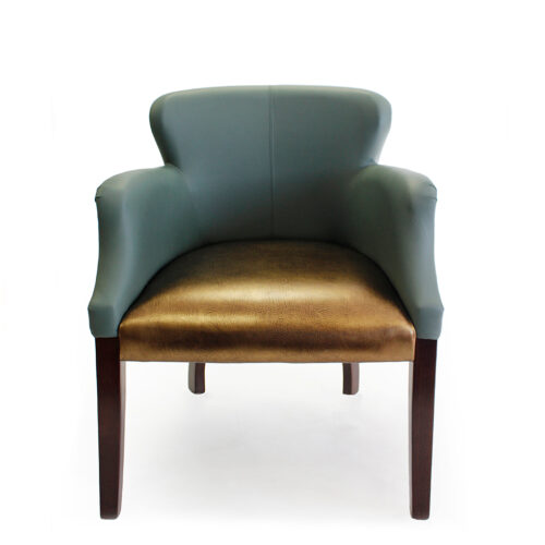 Chesterton Canvas Compact Armchair by Style Matters