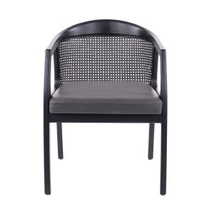 20231204 Style Matters Luxor Dining Chair 2